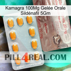 Kamagra 100Mg Gelée Orale Sildénafil 5Gm new13
